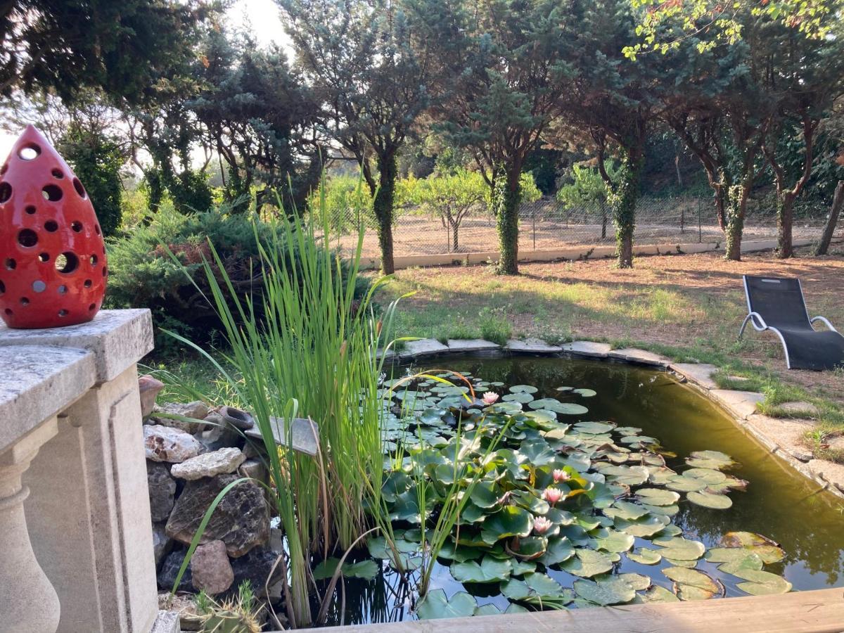 Le Chene Et L'Eau Bed and Breakfast Roquebrune-sur-Argens Buitenkant foto