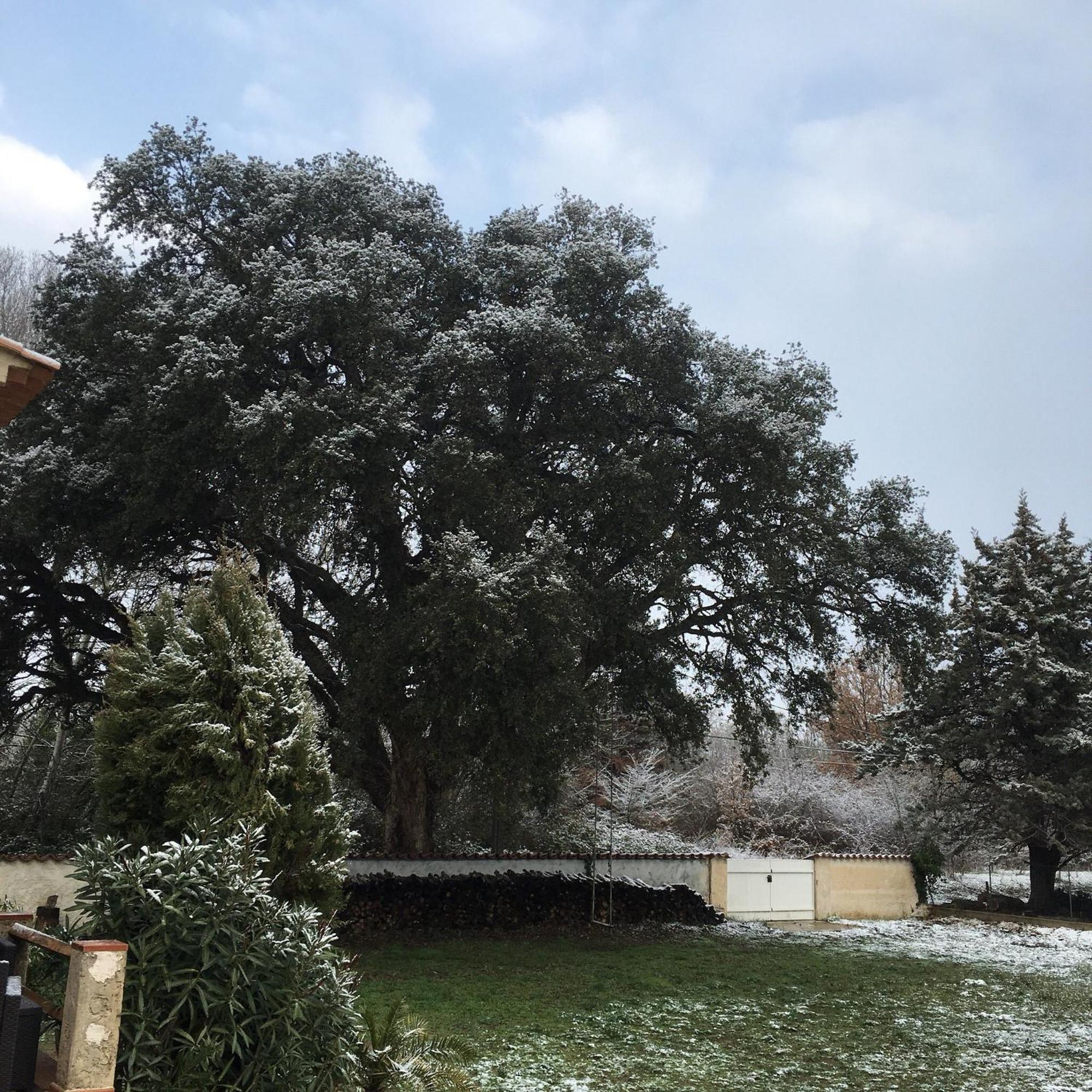 Le Chene Et L'Eau Bed and Breakfast Roquebrune-sur-Argens Buitenkant foto